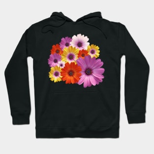 Colorful Pastel Medley of African Daisies / Osteospermums Hoodie